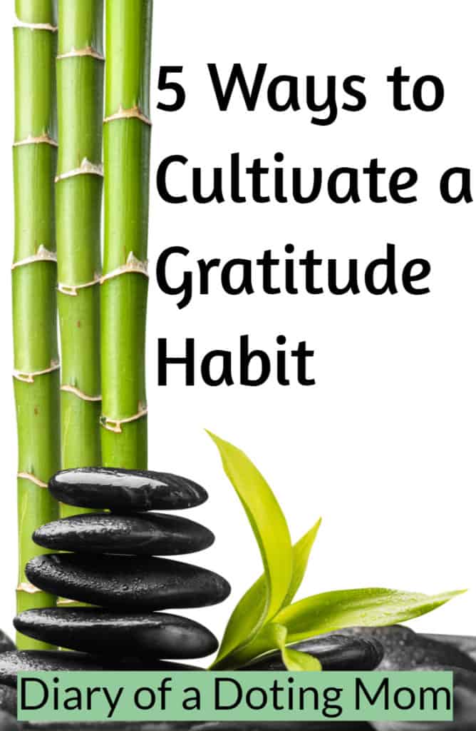 5 Ways to cultivate a gratitude habit